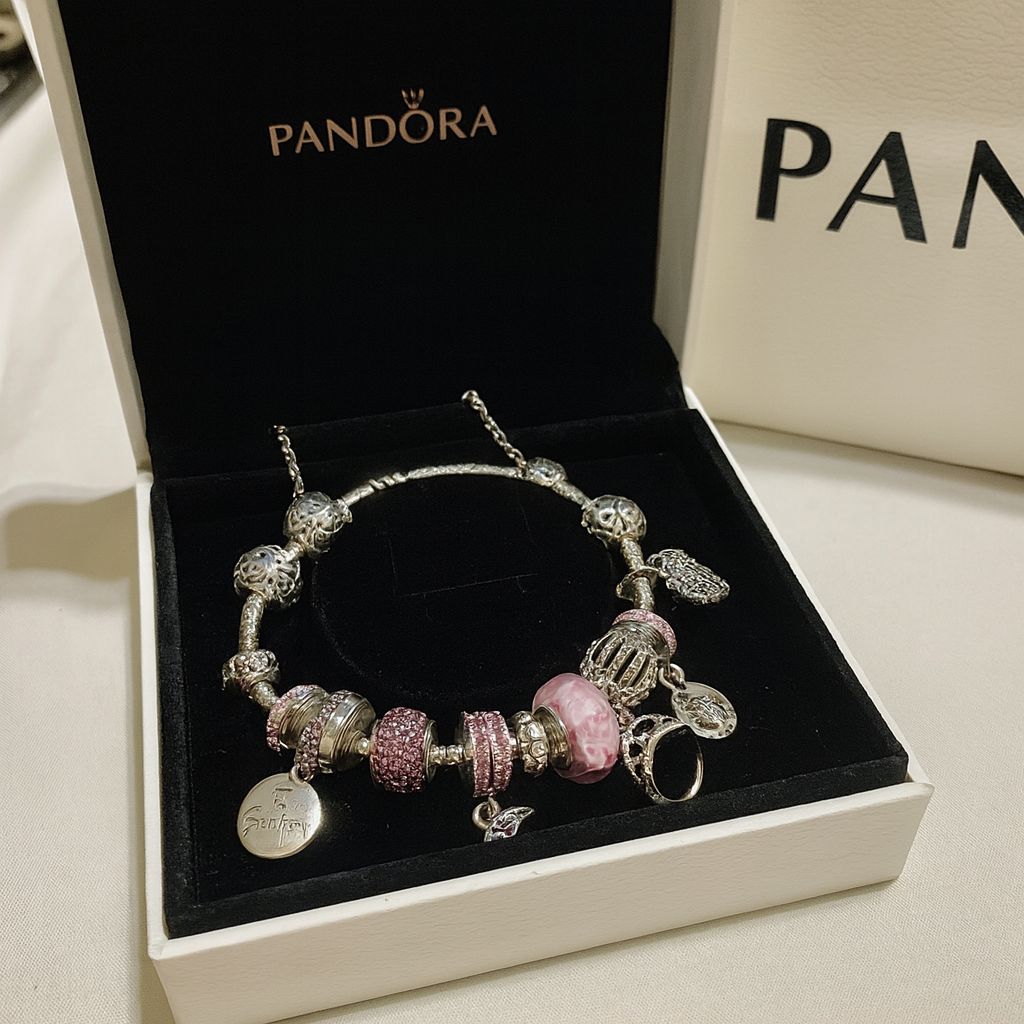 PANDORA Rose Charms Collection |PLATA S925| 11 Charms Incluidos